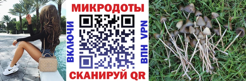Псилоцибиновые грибы мицелий  купить наркотик  Белоусово 